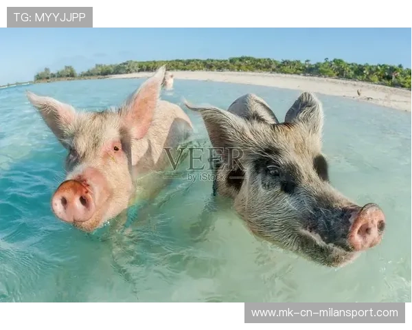 巴哈马游泳队在国际赛场表现优异，巴哈马运动员